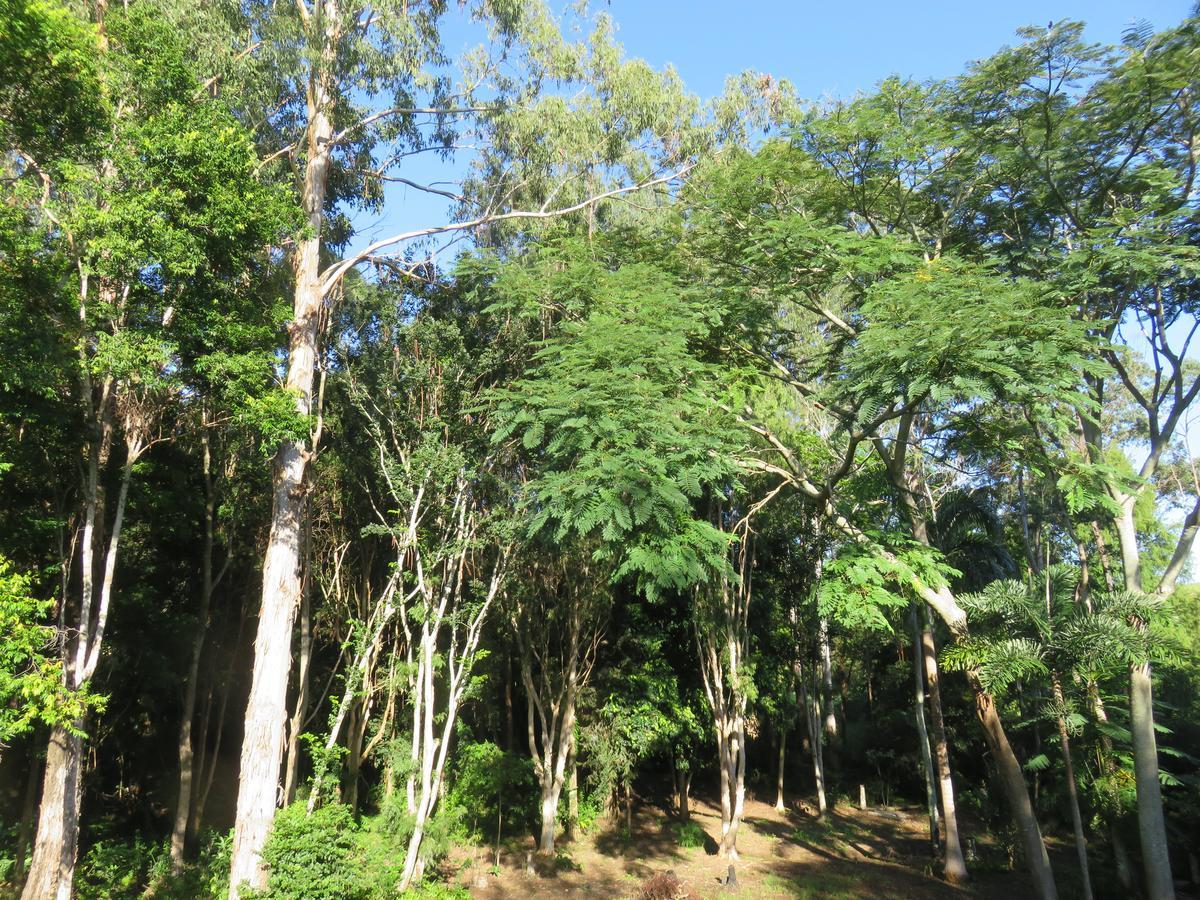 Keillor Lodge Maleny Esterno foto