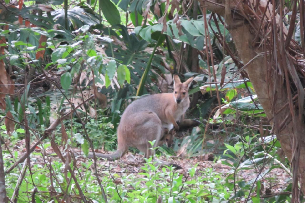 Keillor Lodge Maleny Esterno foto